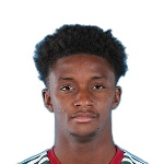 D. Gray